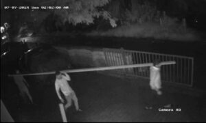 Screenshot_20240708-224402_WhatsApp